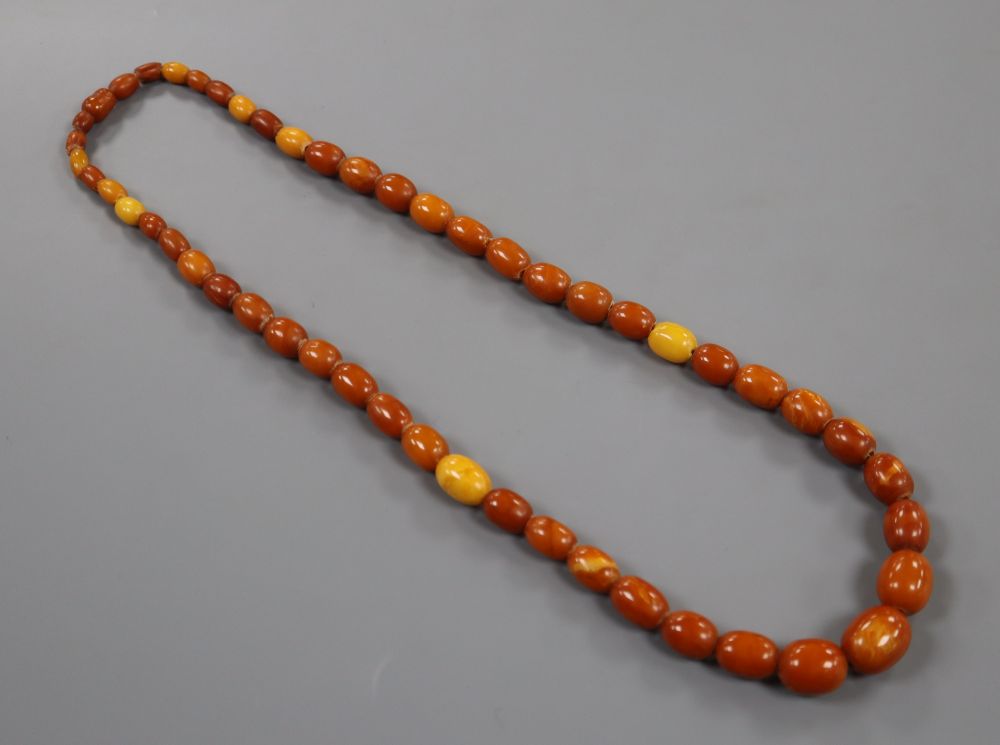 A single strand graduated oval amber bead necklace, 61cm, gross 39 grams.